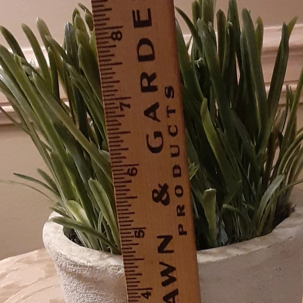 Potted Faux Grass Decor